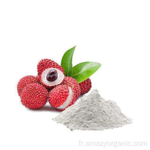 Poudre de fruits naturels Poudre d&#39;extrait de litchi Litchi